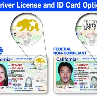 Buy Real and Fake Passport Real Driver License