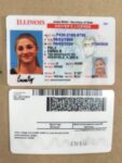 Illinois Driver’s License and ID Card