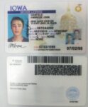 Buy Iowa Driver's License and ID Card