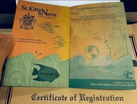 Buy Real and Fake Passport St Kitts and Nevis passport new
