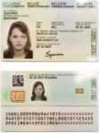 Belgium ID Card 004