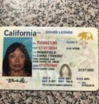 California Driver’s License ID Card