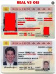 New Mexico Driver’s License and ID Card