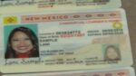 New Mexico Driver’s License and ID Card