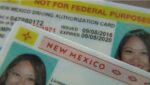 New Mexico Driver’s License and ID Card